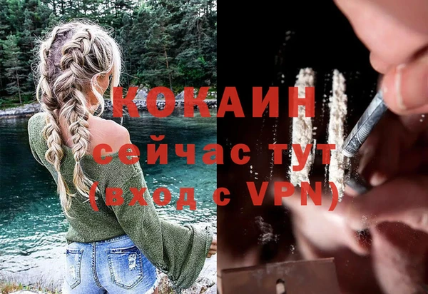 гидра Тавда