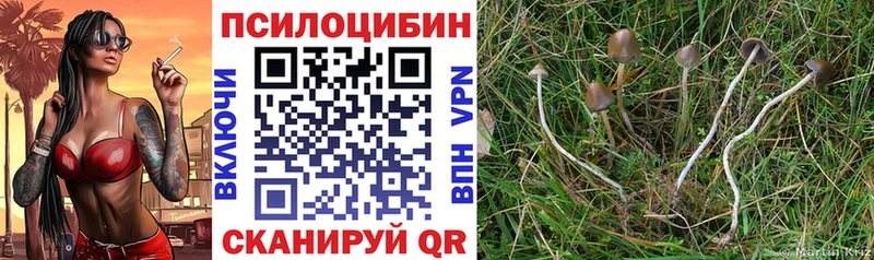 Псилоцибиновые грибы Magic Shrooms  MEGA зеркало  Жуков 